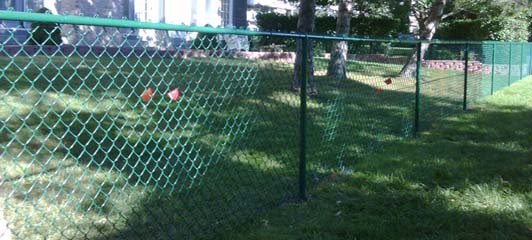 GARDENPLUS® 4' X 50' GREEN VINYL COATED LAWN FENCING REVIEW | BUY