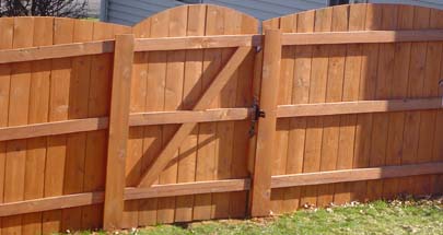 cedar3